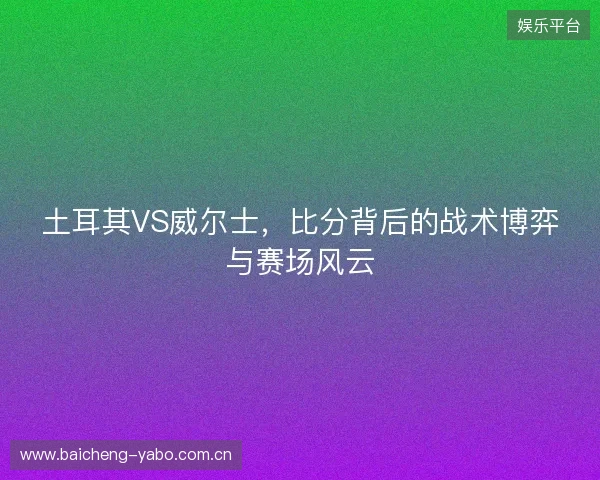 土耳其VS威尔士，比分背后的战术博弈与赛场风云